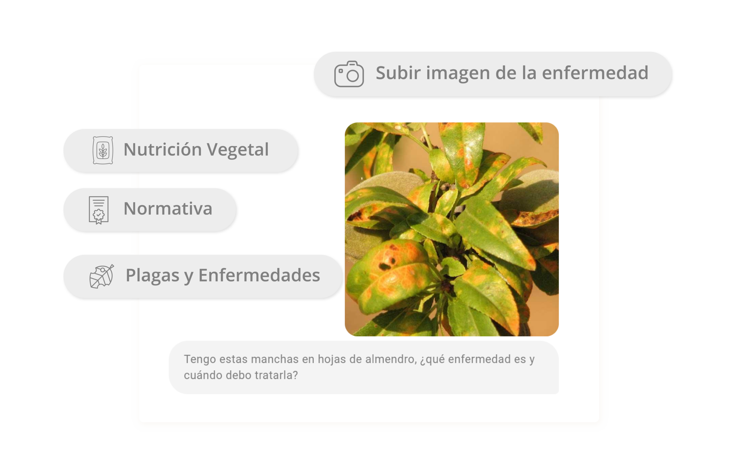callout_foto_plaga_1